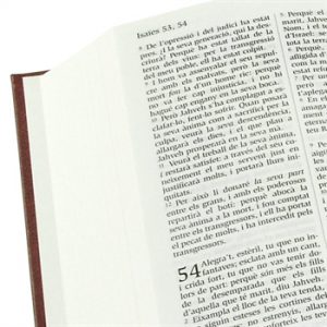 Biblia cat text
